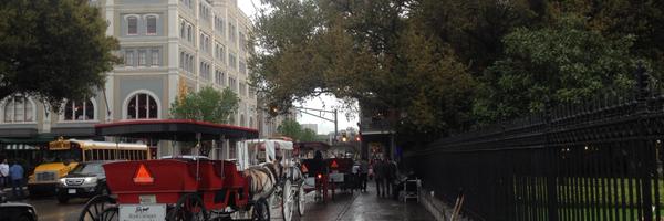 traciprobst Profile Banner