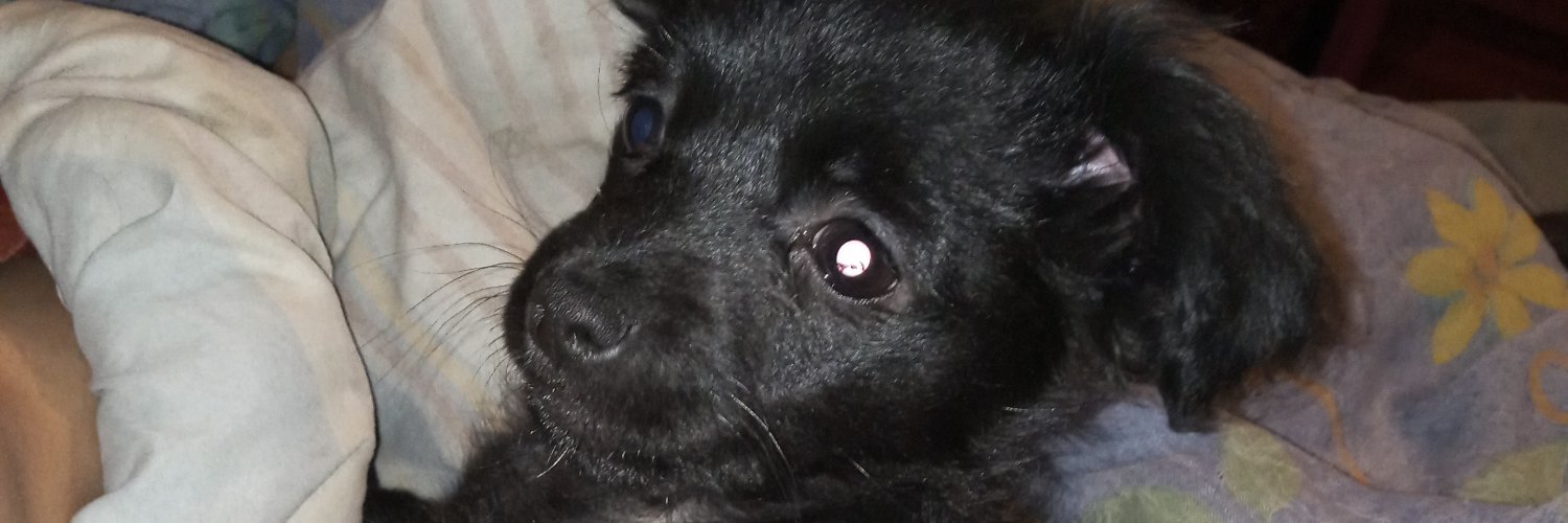 solgaston's profile banner image