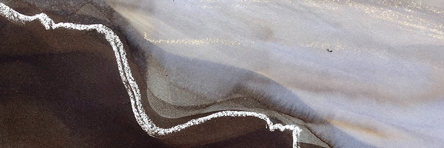Dr Charlie Lee-Potter banner