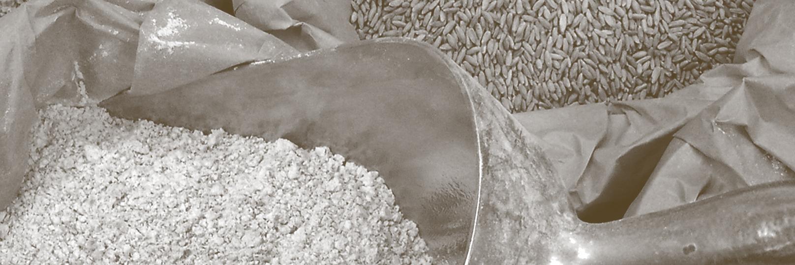 debakkers's profile banner image