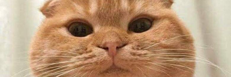 omnmnmnmn's profile banner image