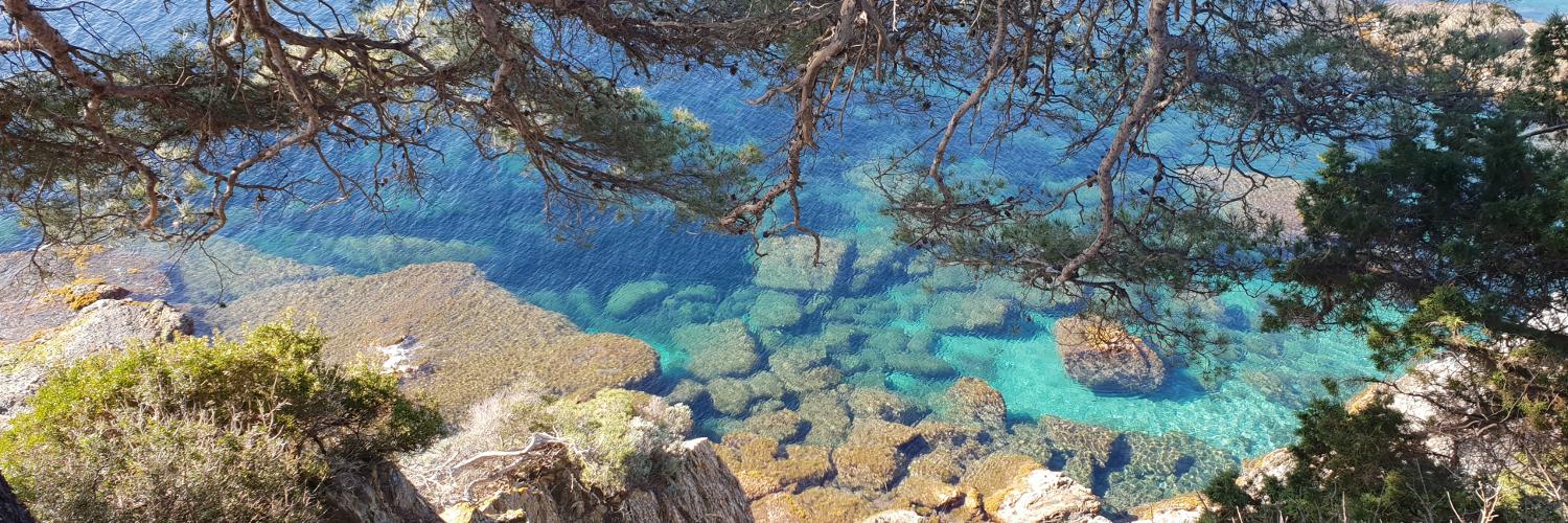 Alexis Laporte (away) banner