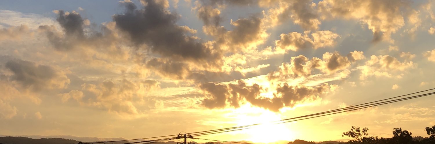 TAO_4219's profile banner image