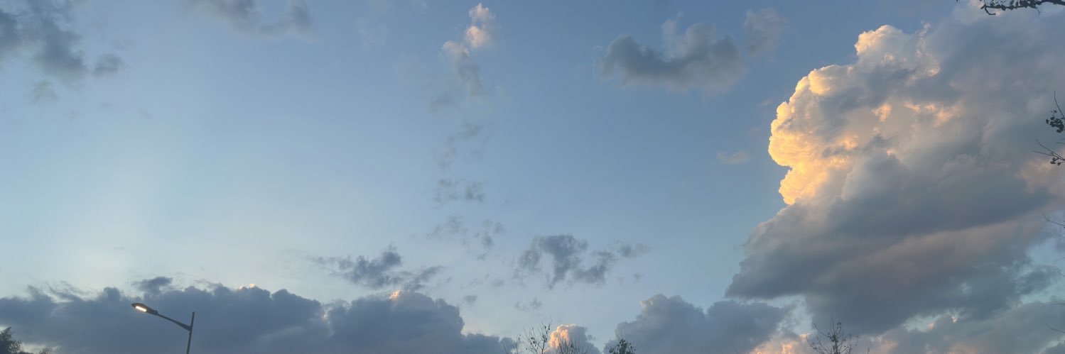 只关注丑的 banner