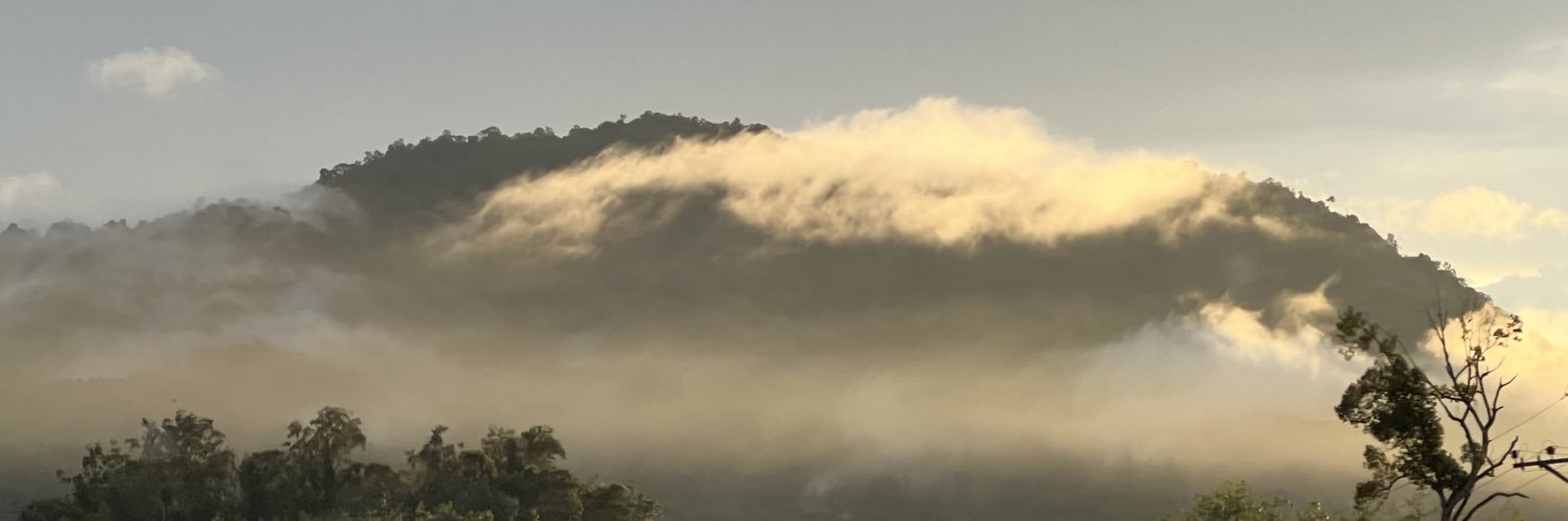 NysaBoni's profile banner image