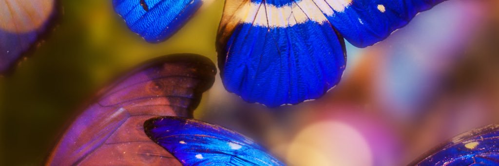 gdcpp_karen's profile banner image