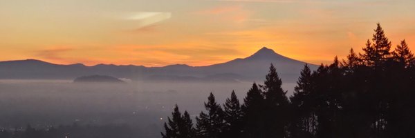 JankovicMD Profile Banner