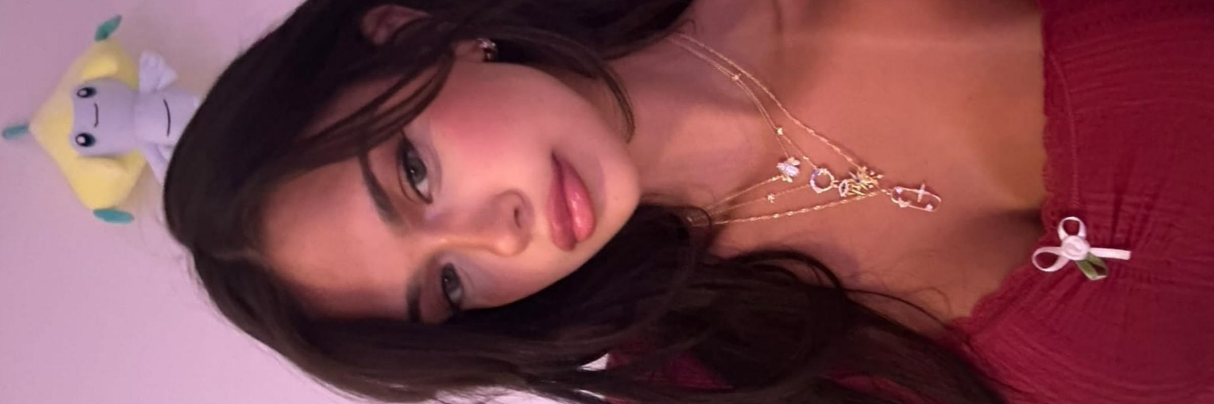 maridodasage's profile banner image