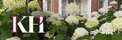 Kensington Hypnosis banner