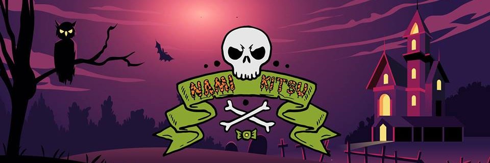 NamiKitsu's profile banner image