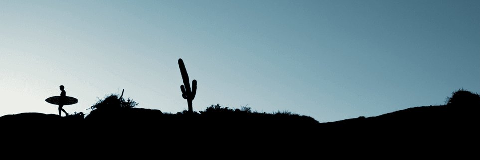 NFTBulb 🌷 banner