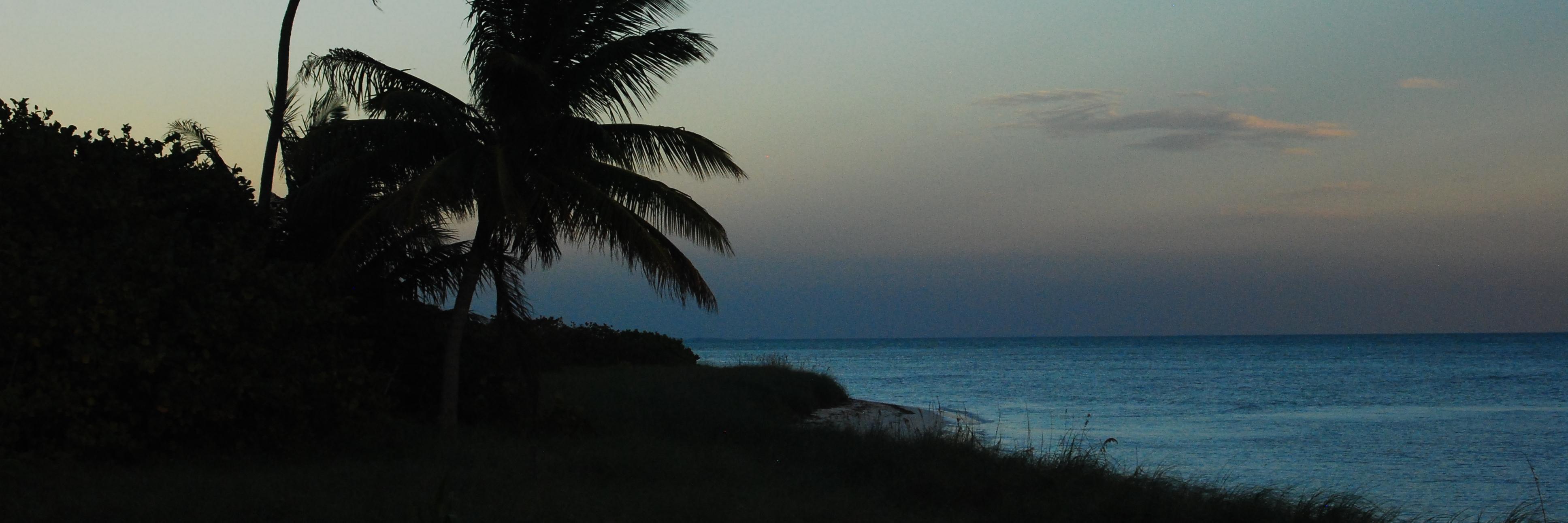 waughb's profile banner image