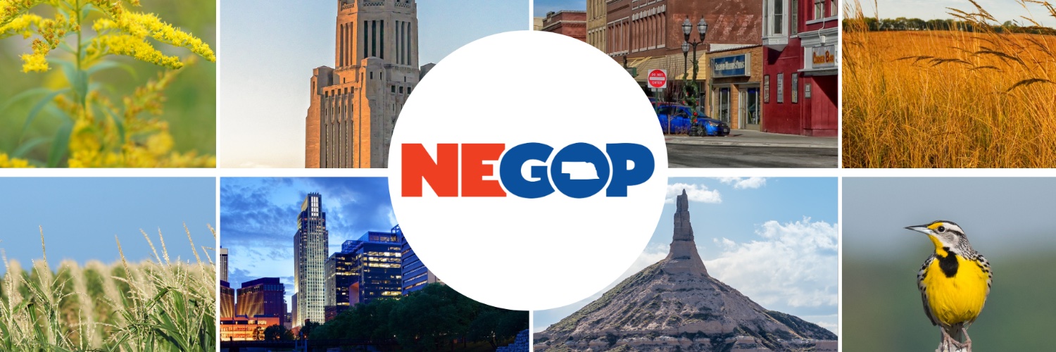 NEGOP's banner