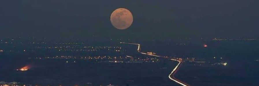 Ferdows || The Memecoins king ♔ banner