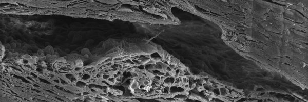 EthierOcularLab Profile Banner