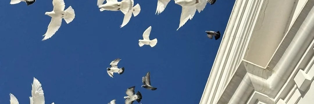 Elizabeth99003's profile banner image