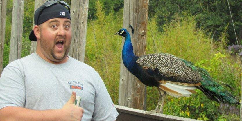joebagod's profile banner image
