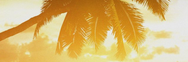 loewen_ciel's profile banner image