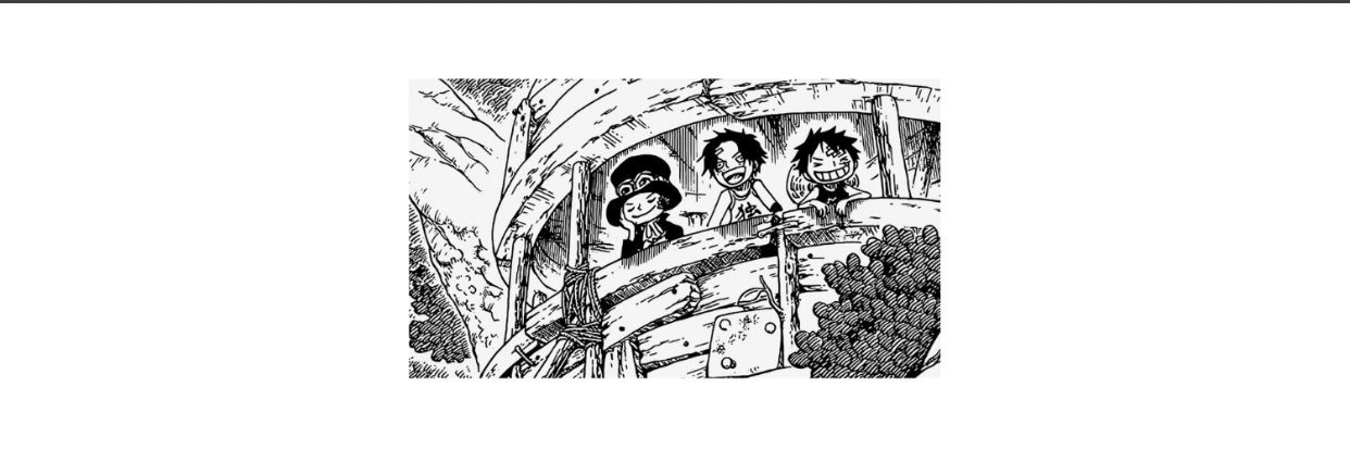 shkaneda's profile banner image