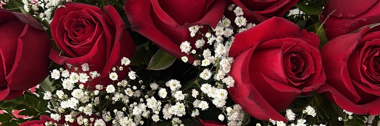 loveronesibb's profile banner image