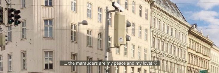 what the marauders are doing? banner