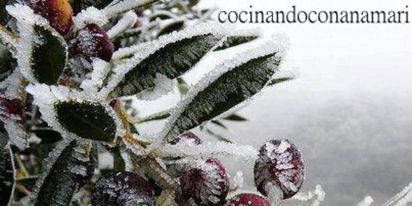 AnuscaMaria's profile banner image