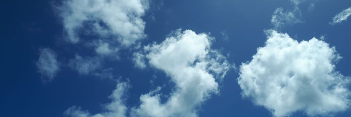 Carmoali's profile banner image