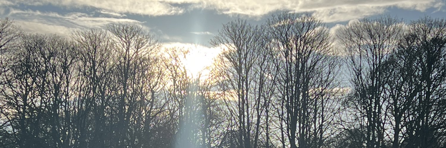gonegagaa's profile banner image