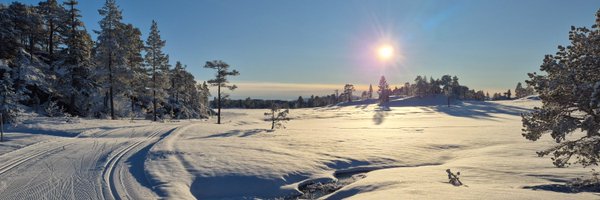 thomas_thoresen Profile Banner