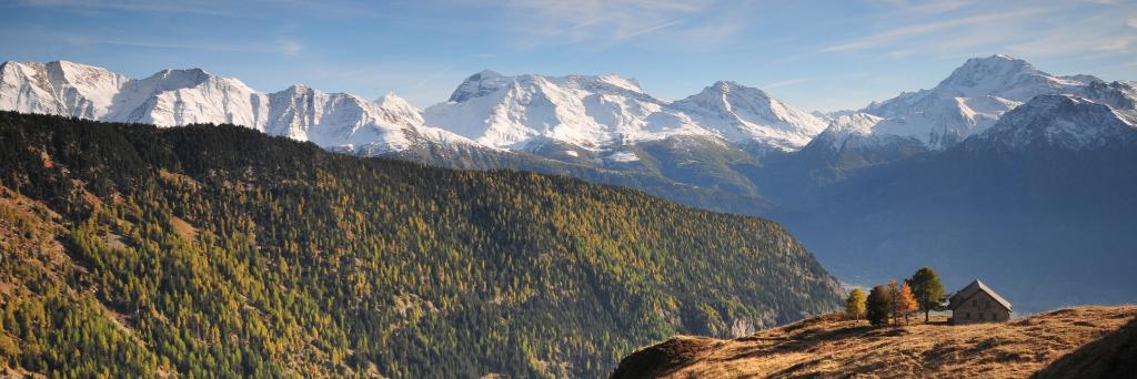 Stefan Pfenninger banner