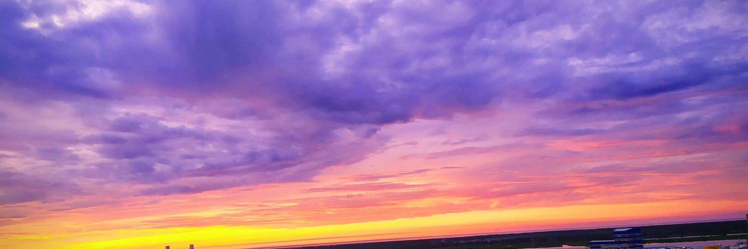 L_Le0na20's profile banner image