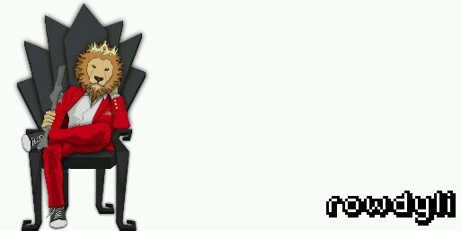 ROWDYLI's profile banner image