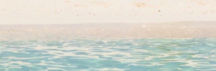 PauRagout's profile banner image