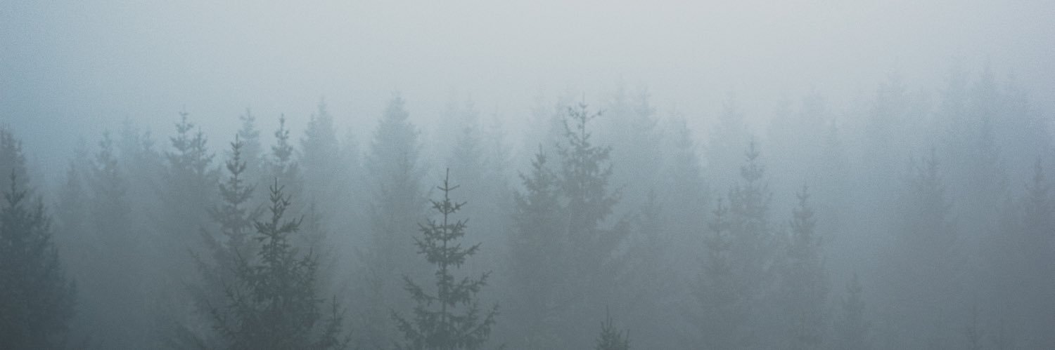 Cederfjärd's banner