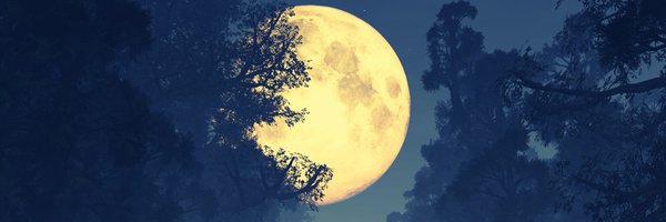 TruthinArtwork Profile Banner