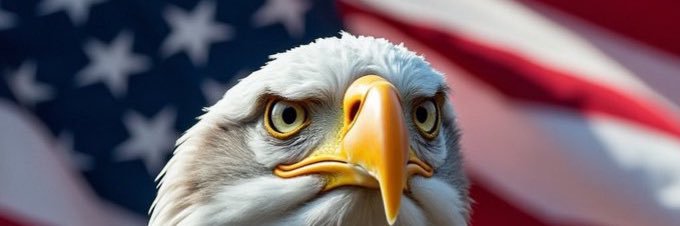 senphil.sats/.btc/.eth 🟧🐸🐵 banner