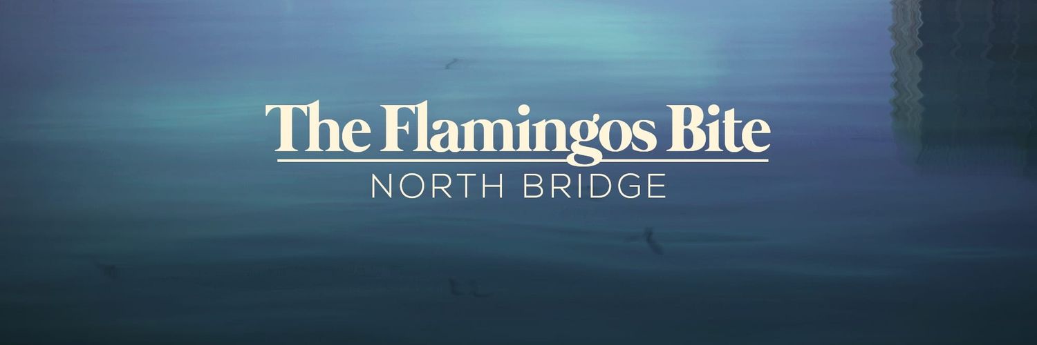 The Flamingos Bite banner