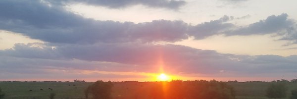 MyMilkisLouder Profile Banner