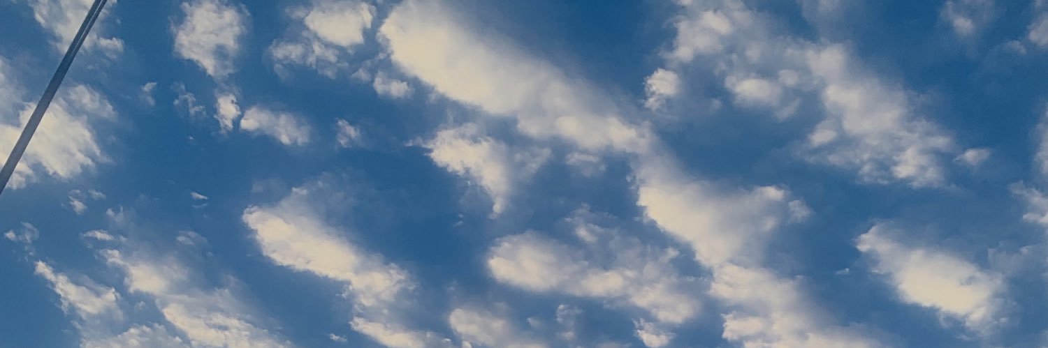 MGRICARDOm's profile banner image