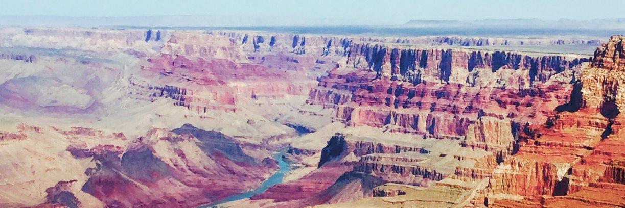 Patricia Hultz banner