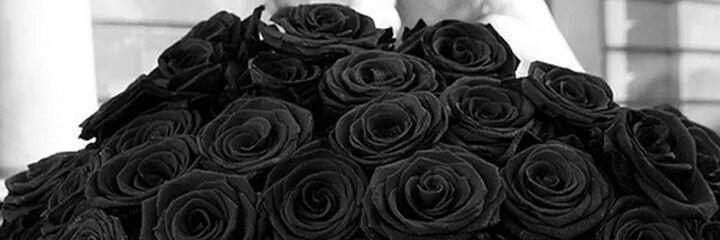 sachellej's profile banner image