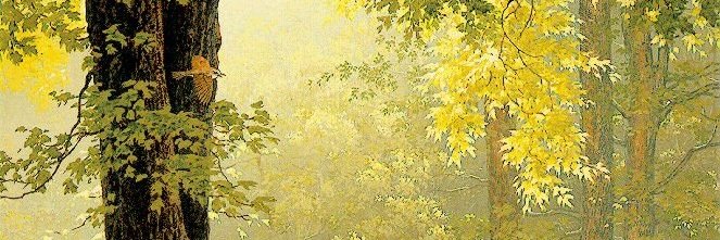vivelabagatelle's profile banner image