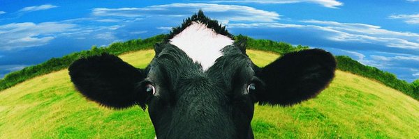 CIWF_FR Profile Banner