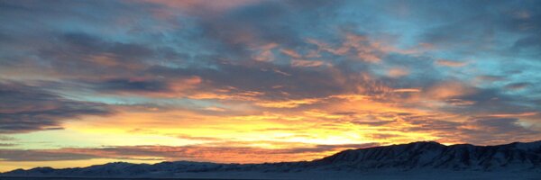 annecollier Profile Banner