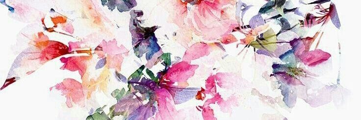 stephydearestxo's profile banner image