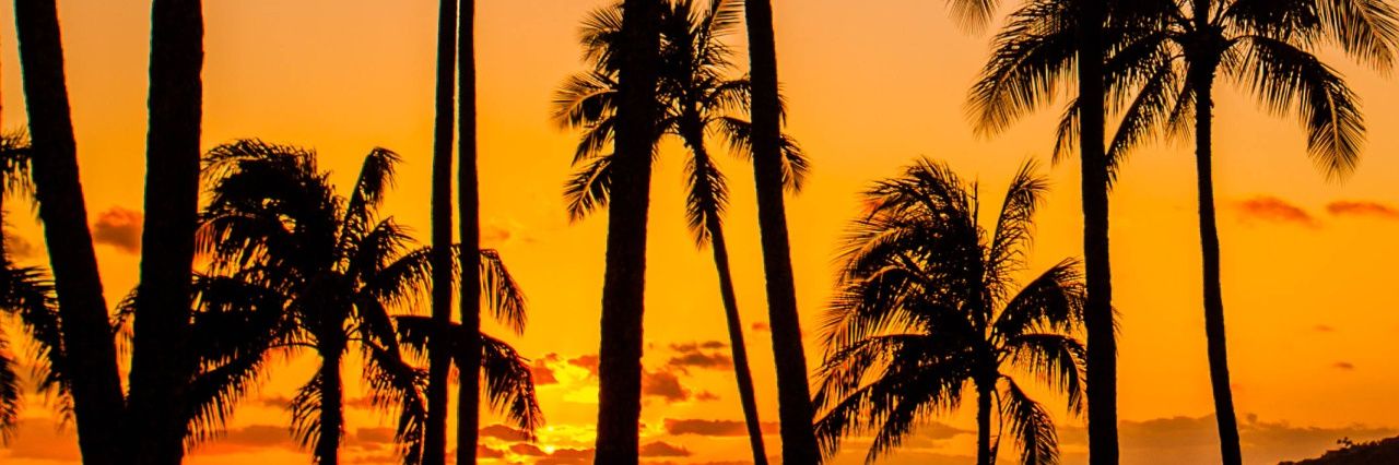 yovannydaniel's profile banner image