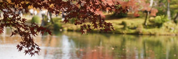 hal_spidernight Profile Banner