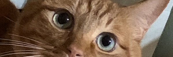 taka7864 Profile Banner