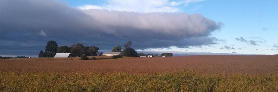 Iddo Friedberg 💔𐤅‎𐤉𐤃‎‎𐤏‎ banner