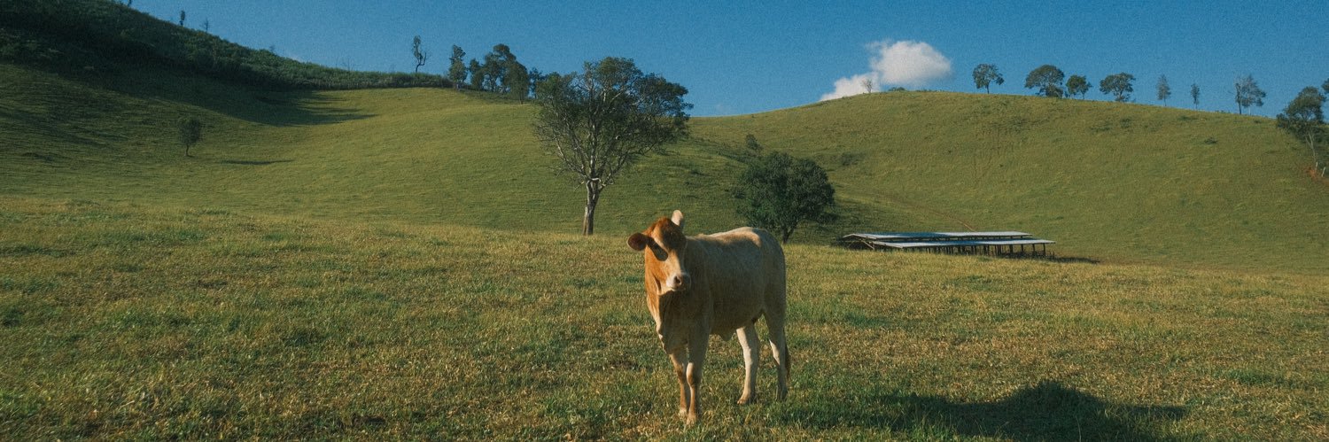 Sopon Supamangmee banner